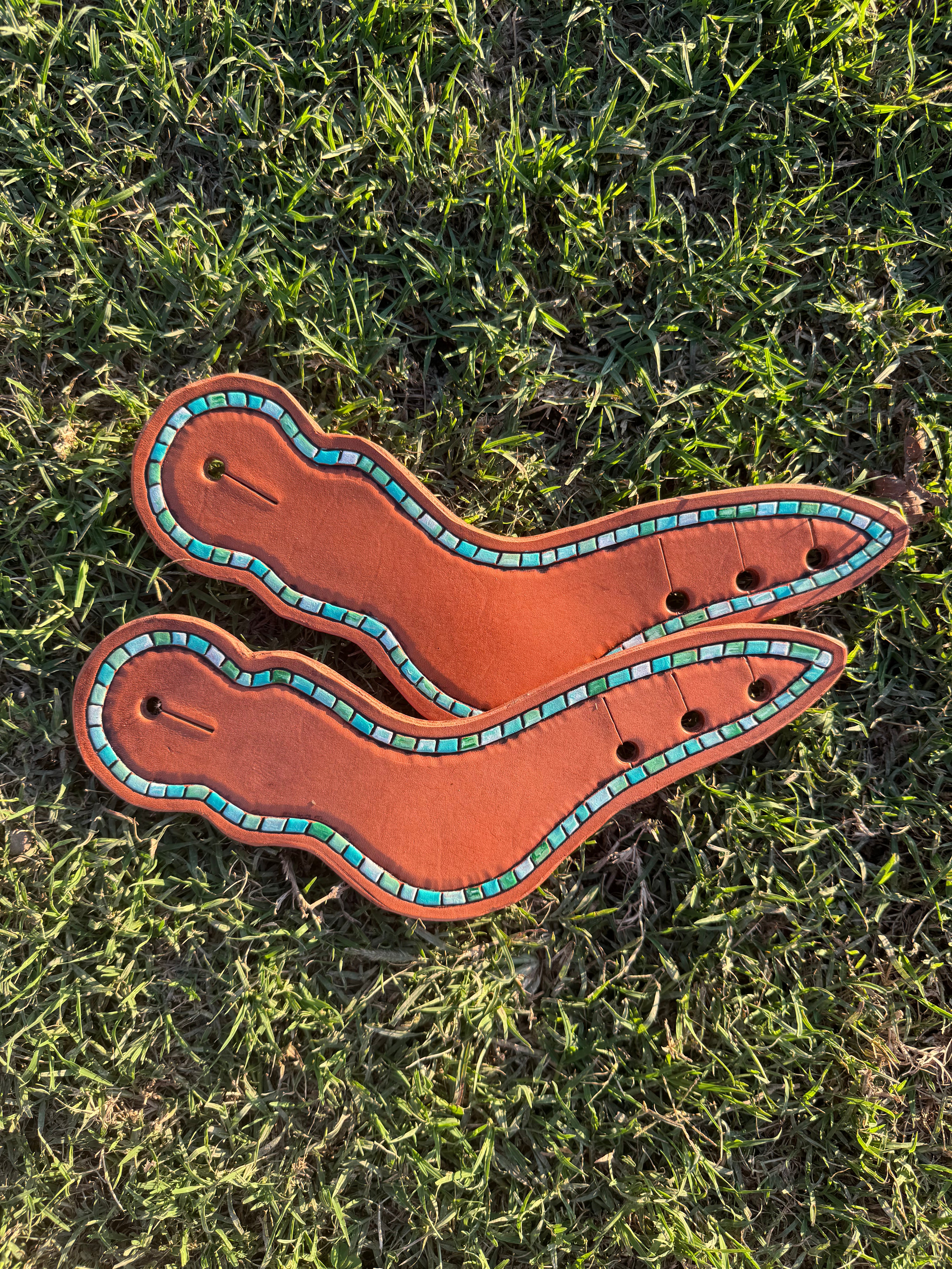 Turquoise Dove Wings